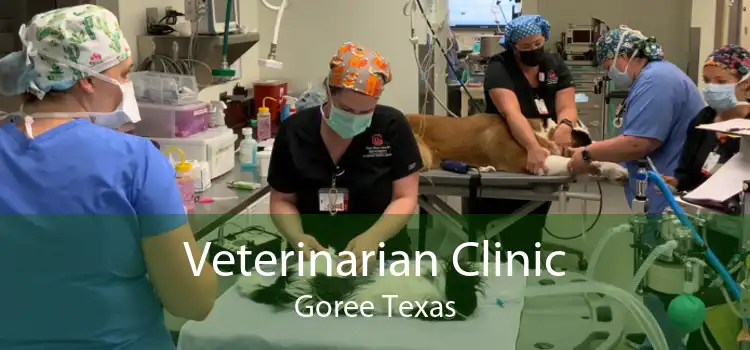 Veterinarian Clinic Goree Texas