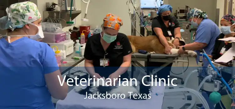 Veterinarian Clinic Jacksboro Texas