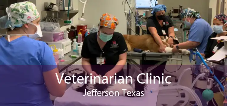 Veterinarian Clinic Jefferson Texas