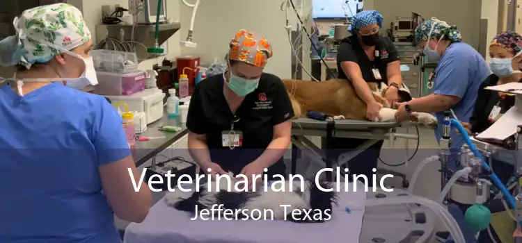 Veterinarian Clinic Jefferson Texas