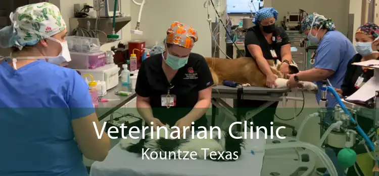 Veterinarian Clinic Kountze Texas