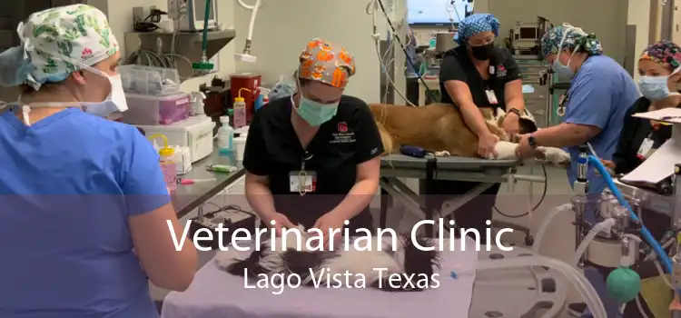 Veterinarian Clinic Lago Vista Texas
