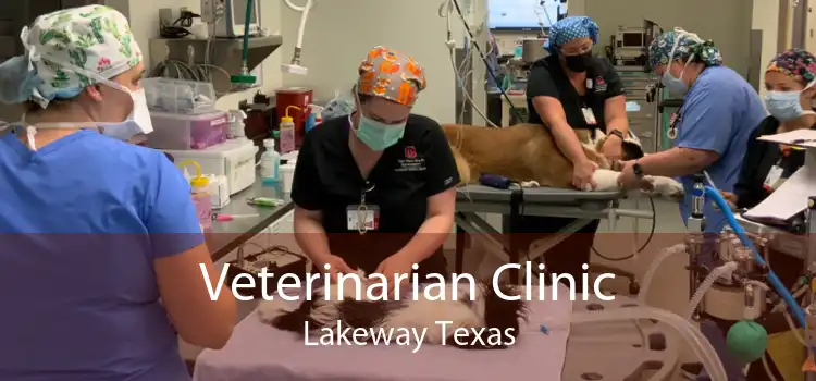 Veterinarian Clinic Lakeway Texas