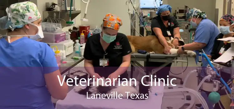 Veterinarian Clinic Laneville Texas