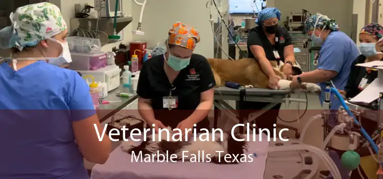 Veterinarian Clinic Marble Falls Texas