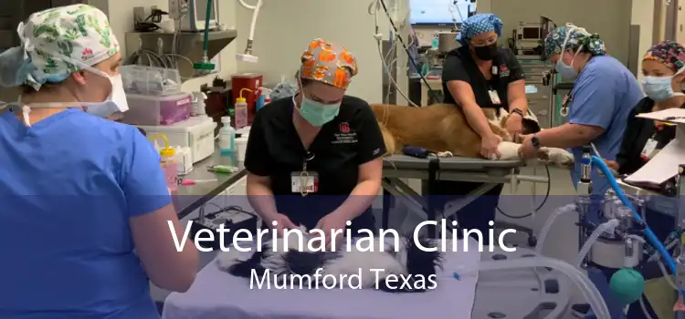 Veterinarian Clinic Mumford Texas