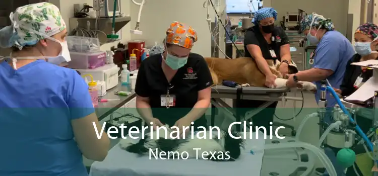 Veterinarian Clinic Nemo Texas