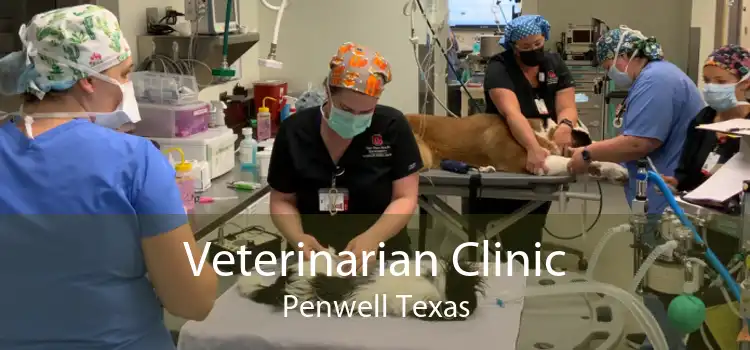 Veterinarian Clinic Penwell Texas