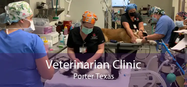 Veterinarian Clinic Porter Texas