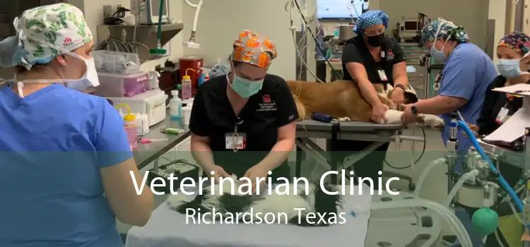 Veterinarian Clinic Richardson Texas