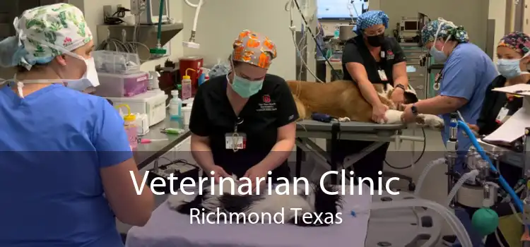 Veterinarian Clinic Richmond Texas