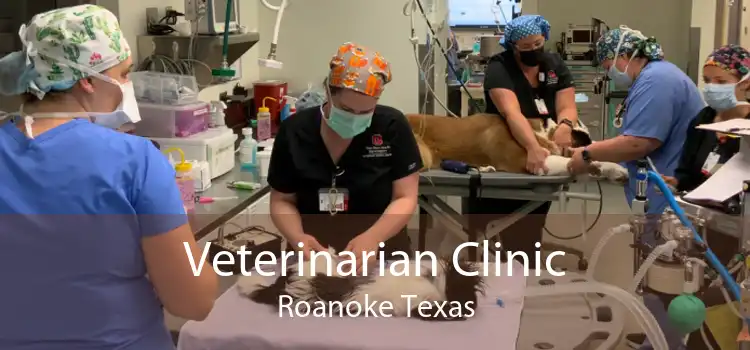Veterinarian Clinic Roanoke Texas