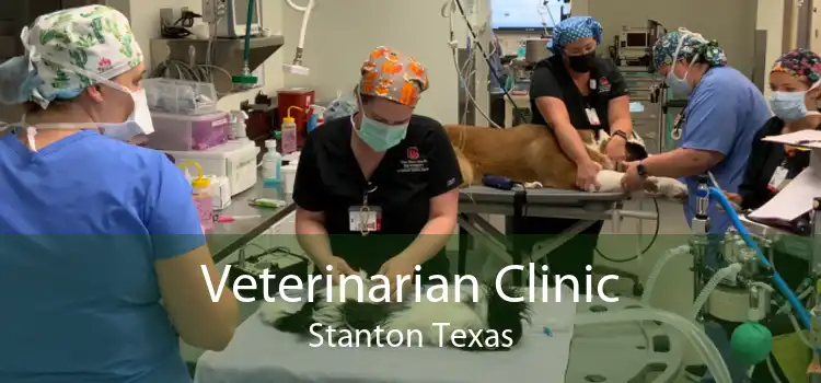 Veterinarian Clinic Stanton Texas