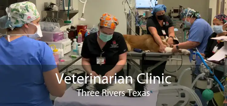 Veterinarian Clinic Three Rivers Texas