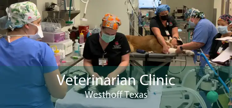 Veterinarian Clinic Westhoff Texas