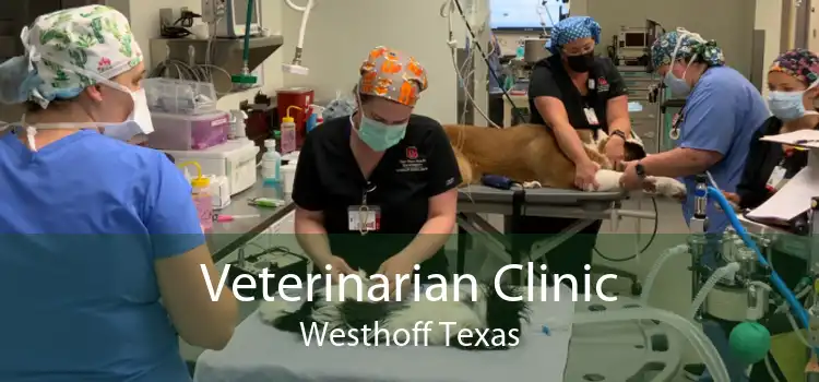 Veterinarian Clinic Westhoff Texas