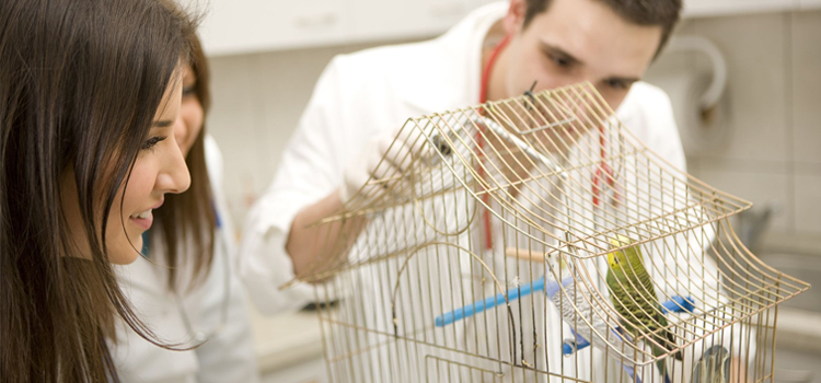 Seabrook Bird Blood Testing 